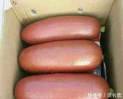 摆摊|男子摆摊卖特大“火腿肠”,路人嫌脏不想买,切开一个之后抢着买