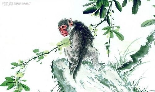 生肖猴|金猴人：最近半年必有“一喜”，财字当头，时来运转，都是天意！