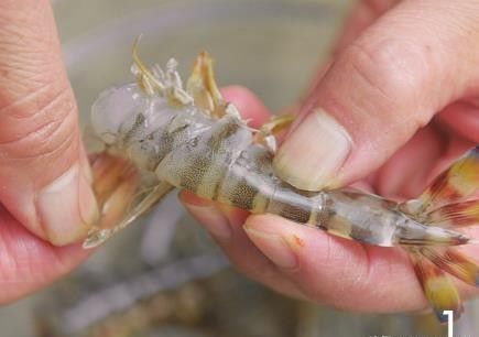  常喝|秋补别错过这道汤，尤其孩子要常喝，清爽营养，补钙强体质