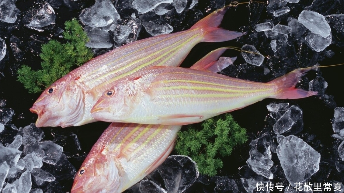 居多|买鱼时,认准这些便宜海鱼,纯野生居多,老渔民自己爱