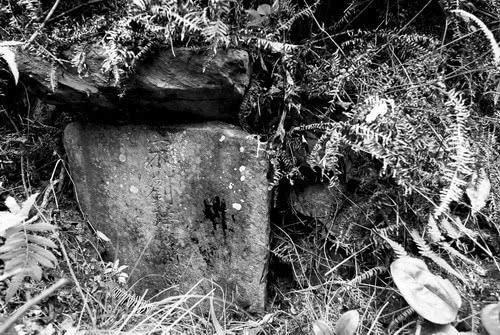 拐子|顺昌之战，南宋名将刘锜大破金兵铁浮屠拐子马，当是中兴首功