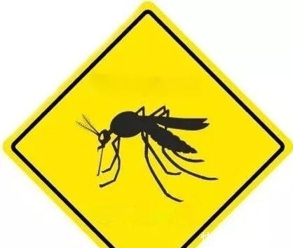 人类|跟蚊子大战数千年,人类终于要扳回一局了?