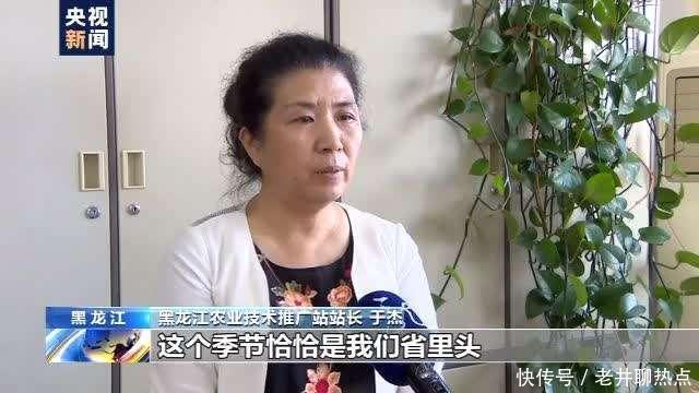上半年|全国“菜篮子”产品供应总量充足 上半年生猪生产好于预期