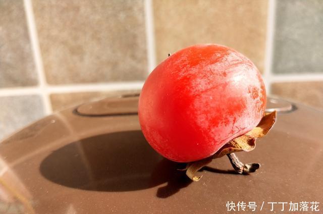 秋天|秋天的水果有哪些与《长安十二时辰》同款的火晶柿子,是好回答