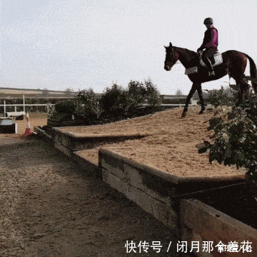 男人|“想出去找刺激的男人可长点心吧!”哈哈哈哈哈哈,最起码要看清楚性别啊!