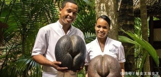 膝盖|5种奇葩水果,吃过3种以上愿送上膝盖,最后一种却是富婆最爱!