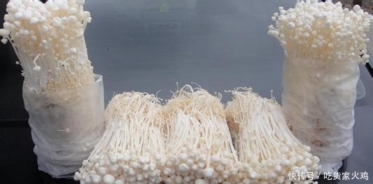 放在|买回来的金针菇根别扔,放在水里,还能长出好几捆!