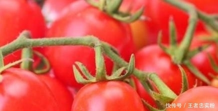  番茄|炒番茄炒鸡蛋有个步骤别犯错，吃对了补脑抗衰老，吃错了当心肥胖