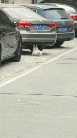 搞笑|搞笑GIF:孩子,你怎么那么懒呢?你就放心啊!