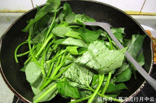 鸭肉|九月,不吃猪肉鸭肉,也要多吃它,视力好了,家人常吃胃口好