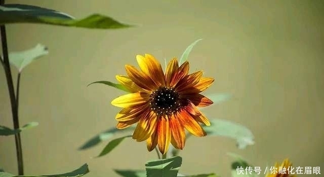 懂得|在你的有生之年,和认识你的人在一起。不管是朋友还是情人