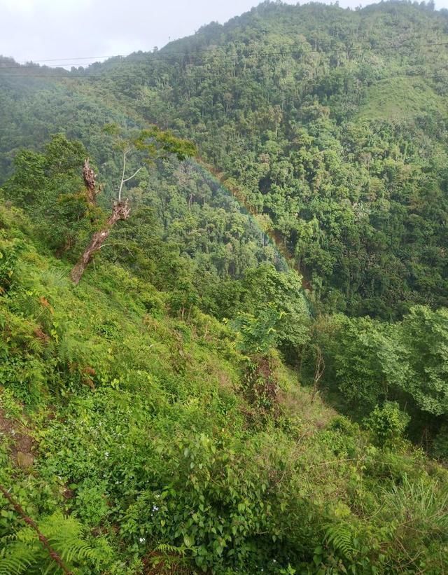 西藏|美丽的藏南地区,有世界雨屋,西藏江南的美誉