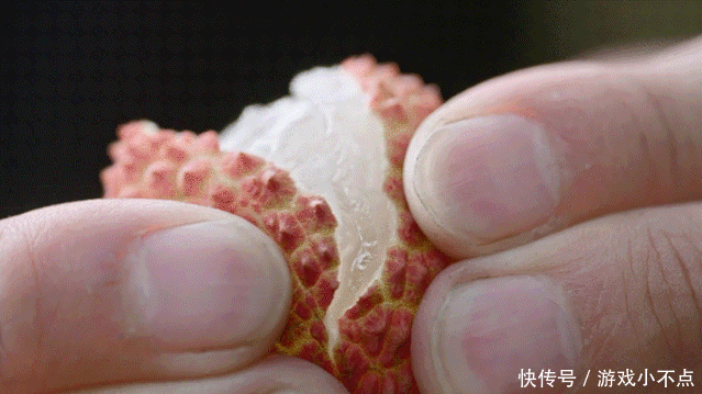 名字来源|广东最被忽略的美食之城,没想到是它|原创