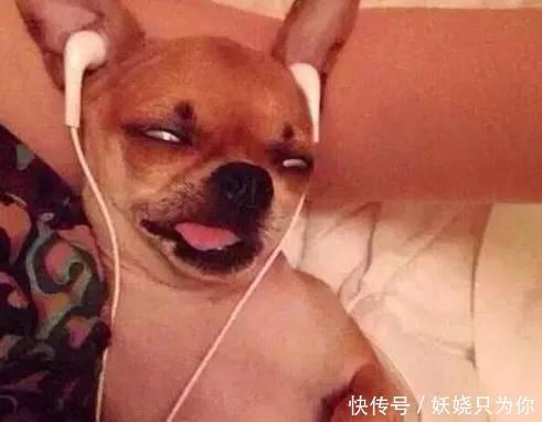 哥们|哥们, 我估计你起来之后脸要废了, 这抓拍真是够准了