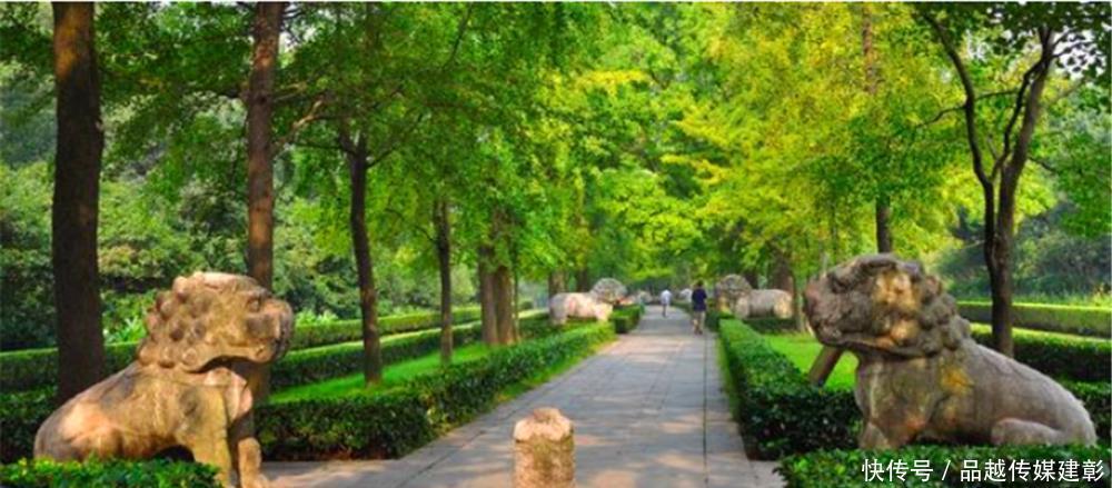 激动|朱元璋问一老农叫啥后，为何激动地封老人为官呢