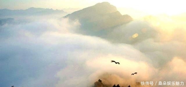 成败|鬼谷子:3句话告诉你人生成败的本质,你若能参悟透,胜读10年书