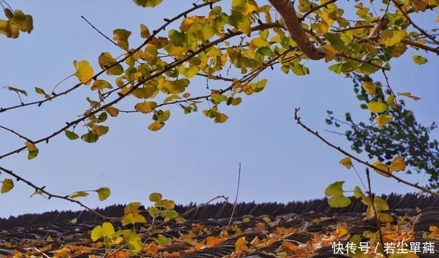 小城|广东人不能吃辣这座距省会1小时的粤北小城,能把你辣的头掉!