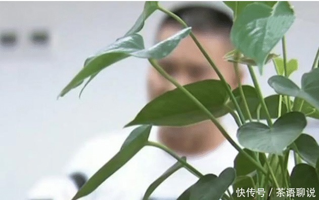  对待|传销又出新花招, 中招者大多数是男人, 对待感情问题要理性