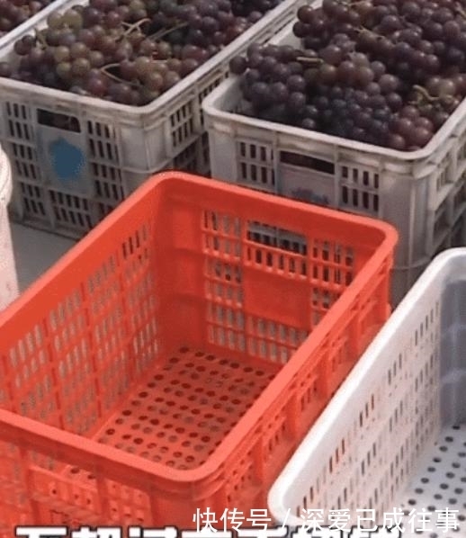 可耻|半夜开车去农家地偷东西，吃不完卖掉月入6000元，行为可耻
