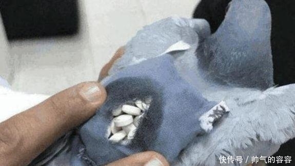 不到|雷人藏毒运毒手法：只有想不到没有做不到的，真是为难毒贩子了！