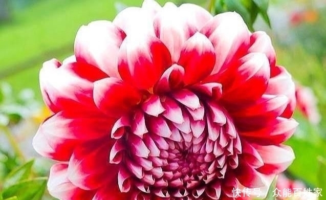 福气的人|福祸是有征兆的,对照一下,你是有福之人吗?