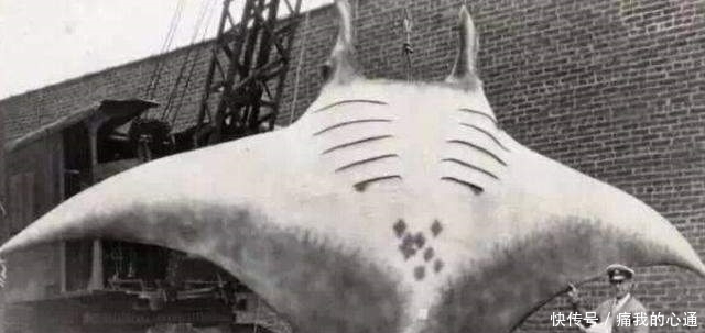 男人|珍贵历史老照片: 图2让男人移不开眼、图4让人唾弃、图6至今是谜