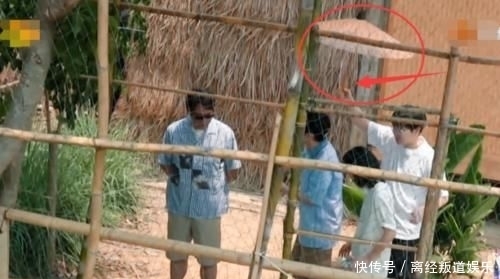 难怪|“全家”围观孔雀起名字,有谁注意彭彭小举动?难怪能录这么多季!