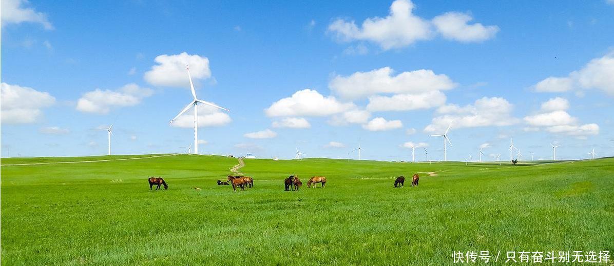  蒙古人|为什么元皇陵一个都看不见，明皇陵无一被盗，清皇陵却被盗多处