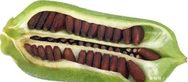 中国饮食文|古代人用什么油炒菜1000多年里的美食变迁