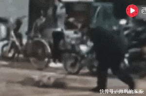 伤害|“我从没伤害过人,但还是被打死了 ”