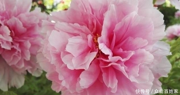 福气的人|福祸是有征兆的,对照一下,你是有福之人吗?