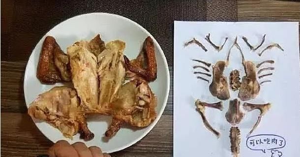 火龙果|人无聊至极是什么体验火龙果去籽,瓜子皮排队,看到鸡,厉害