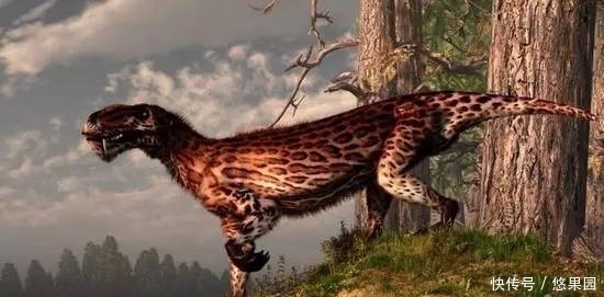 到底|地球最严重的大灭绝到底发生了啥？下一次大灭绝是什么时候？