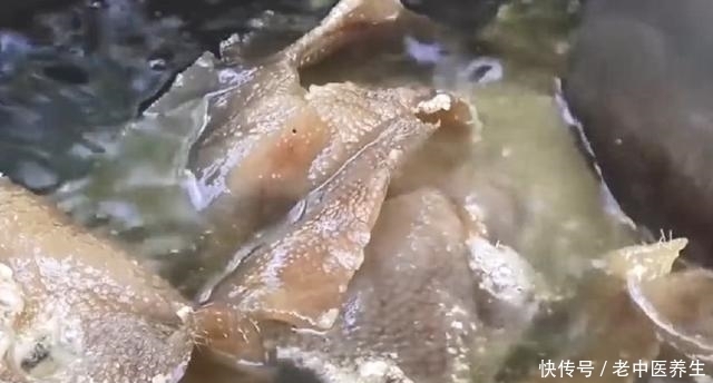 中国美食|中国人眼中的“垃圾食品”火到美国, 成了米其林餐厅招牌点心