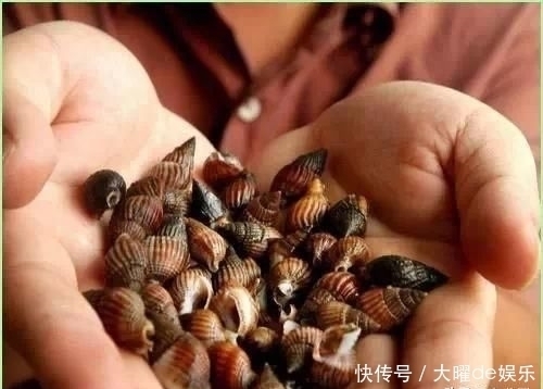 别碰|紧急扩散:最近千万别碰这东西,一颗致命…