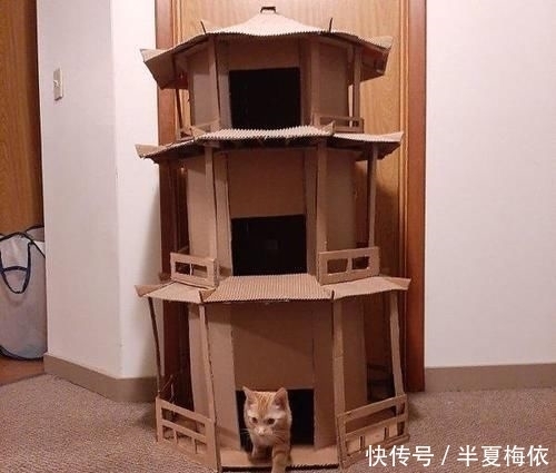 豪华|有才!外国网友用废纸箱,给喵星人打造豪华城堡