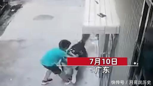  群众|男孩无故被大狗撕咬，手臂满是抓痕鲜血直流，附近群众不敢阻拦！