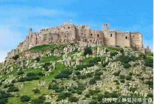  危险|冒着被砍头危险走私运回中国, 成为古代人救命神器