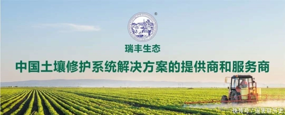 野菜|农村遇见这种野菜,摘叶就好别再拔根了,当今价值比较珍贵!