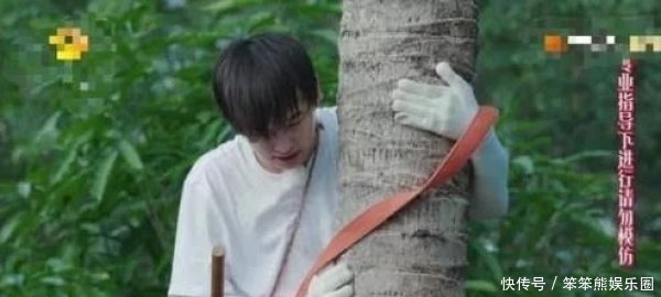  胡先煦|《向往4》终于请对了嘉宾！没有刻意煽情，每个常驻都有存在感