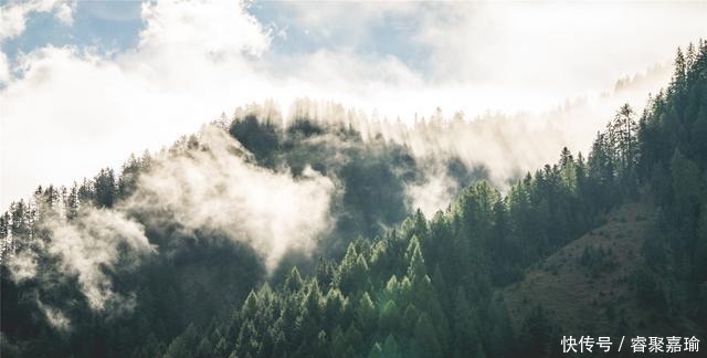  依旧没|落叶知秋来，思念随风走（深度好句）