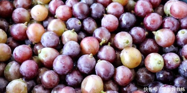 浓郁|教你在家酿葡萄酒,口感香醇,酒香味浓郁,没有任何添加剂