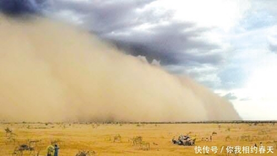 治理|我国养150只“猛兽”来治理沙漠，结果怎么样？网友：佩服发明家