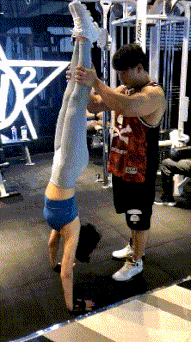 鸡成|搞笑GIF:这只鸡成精了吧!这么高还敢飞,真把自己当鸽子啦