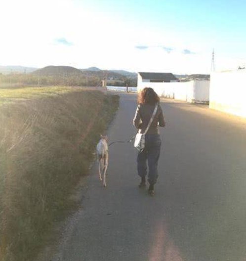  令人|母狗马路上边哭边跑，女子好奇跟上去查看，眼前一幕令人心碎