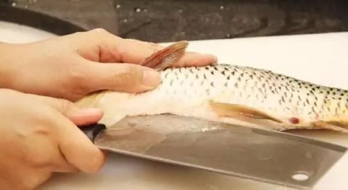  源头|剃掉“鱼腥线”，大错特错，这4处才是腥味源头，处理好做鱼更鲜