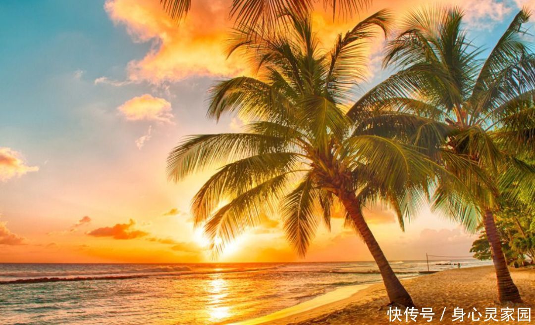 连接|九位开悟心灵导师谈:如何连接真正的美好