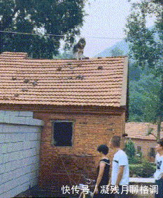 你俩|妹子,你俩就知道躺在那里玩手机,也不收拾收拾桌子上的物品
