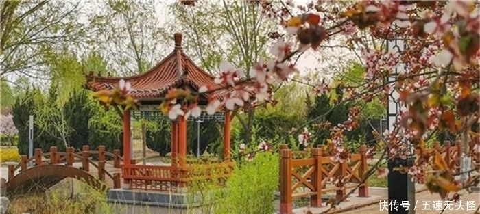 春光|全国特色小镇春光正好