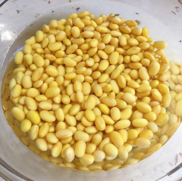 入味|富含蛋白的黄豆焖猪蹄,软糯Q弹入味好吃,黄豆糯糯的超级下饭哟